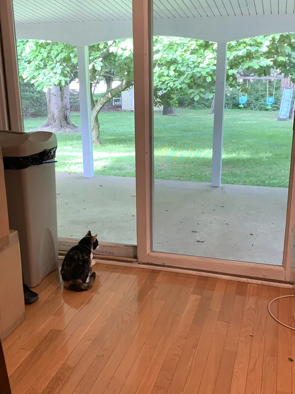 A sliding glass patio door seen from inside a room with a wood floor