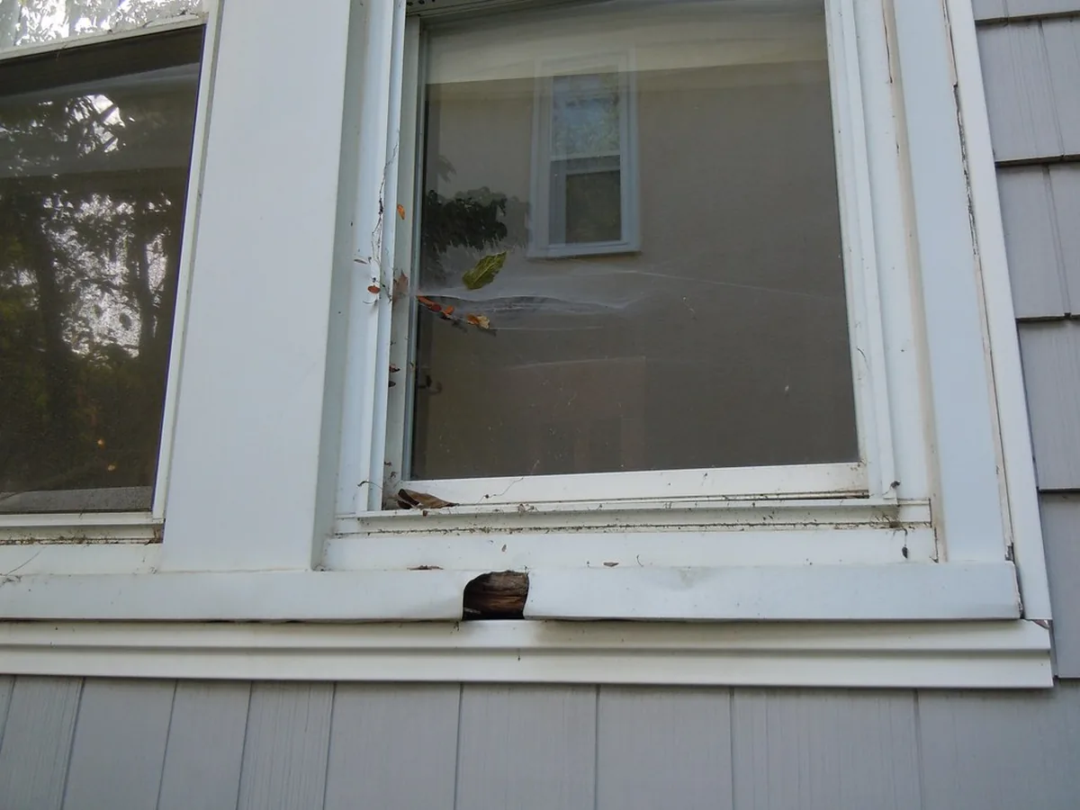 Window sill and trim rot on a McDonough GA style house: a split, hollowed sill trim under a vinyl window
